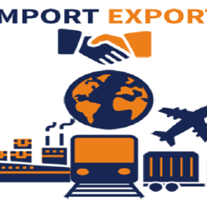 Import Export Code (IEC)