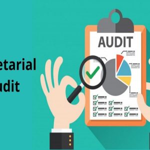 Secretarial Audit by CS
